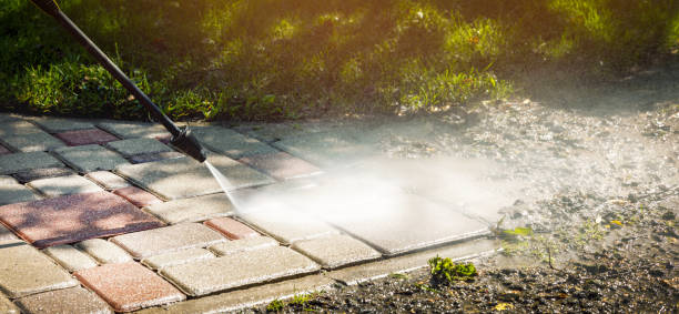 Best Sidewalk and Walkway Cleaning  in Chamberlain, SD